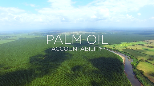 Rainforest Alliance Palm Oil